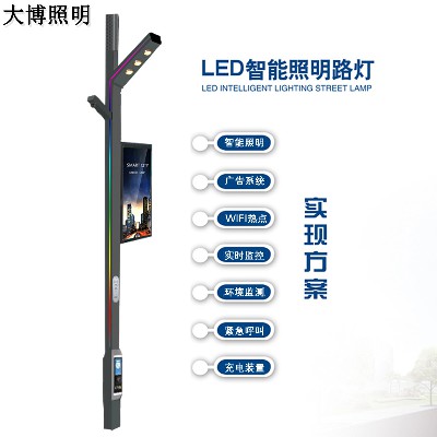 智能路燈wifi充電樁多功能一體化智慧路燈公園小區(qū)庭院燈廠家批發(fā)